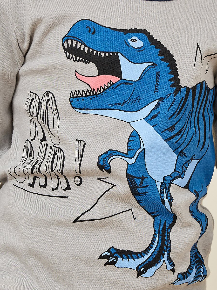 Dinosaur Printed T-Shirt and Pyjama Set