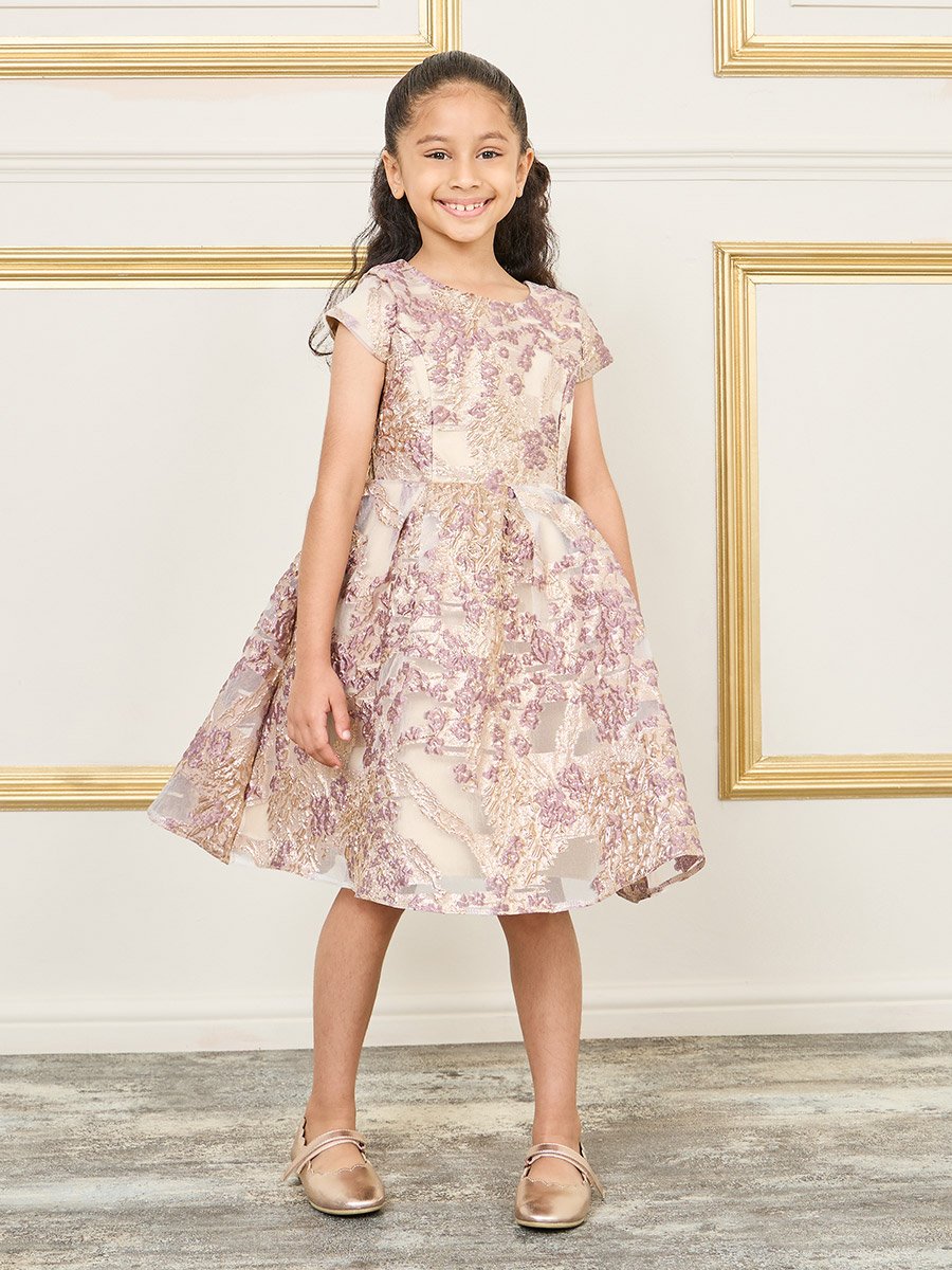 Jacquard Detail A-Line Dress with Short Sleeves