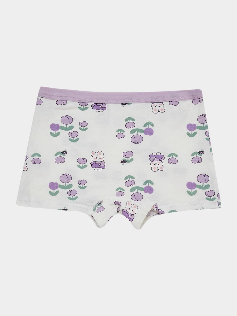 Pack of 4 - Cartoon Printed Briefs 
