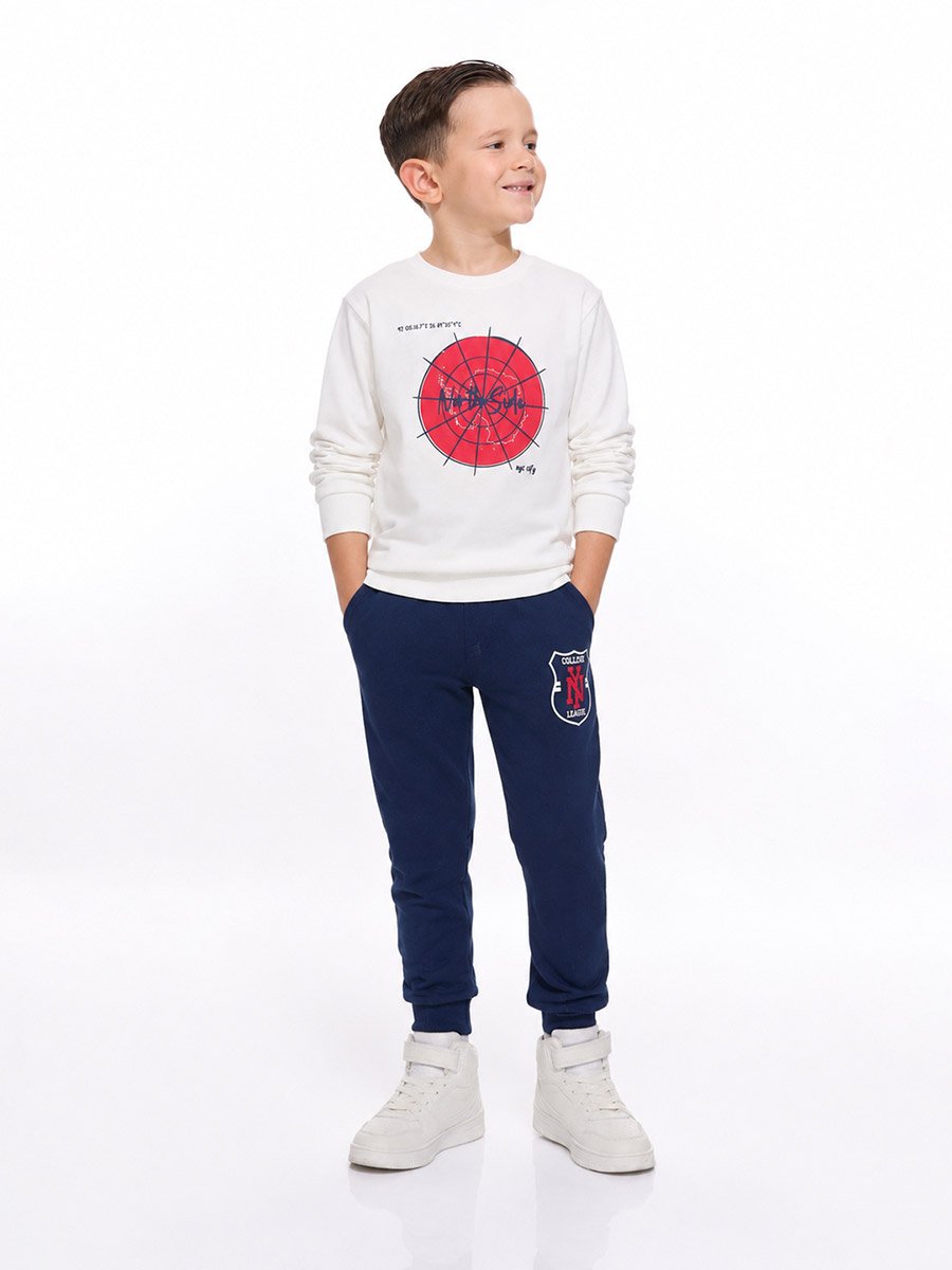 Graphic Print Regular Fit Sweatshirt and Joggers Set