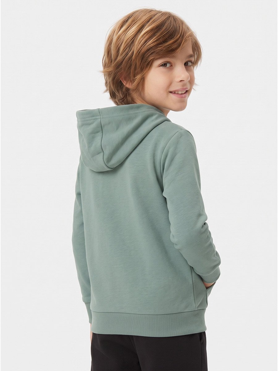 Graphic Print Regular Fit Hoodie