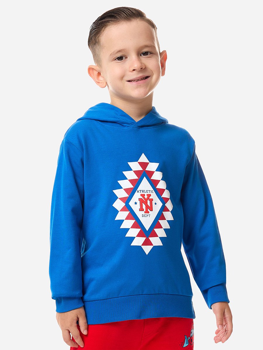 Graphic Print Regular Fit Hoodie