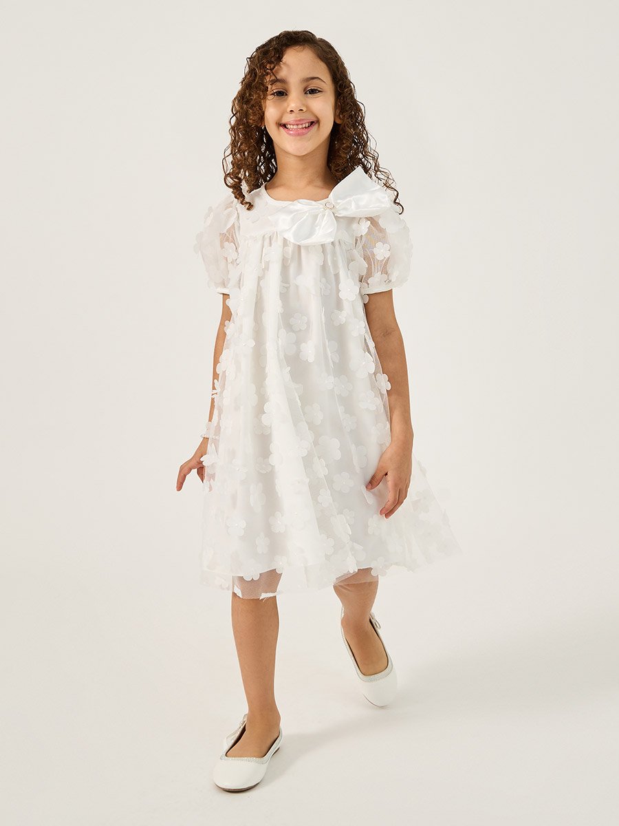 Flower Applique Mesh Insert Dress