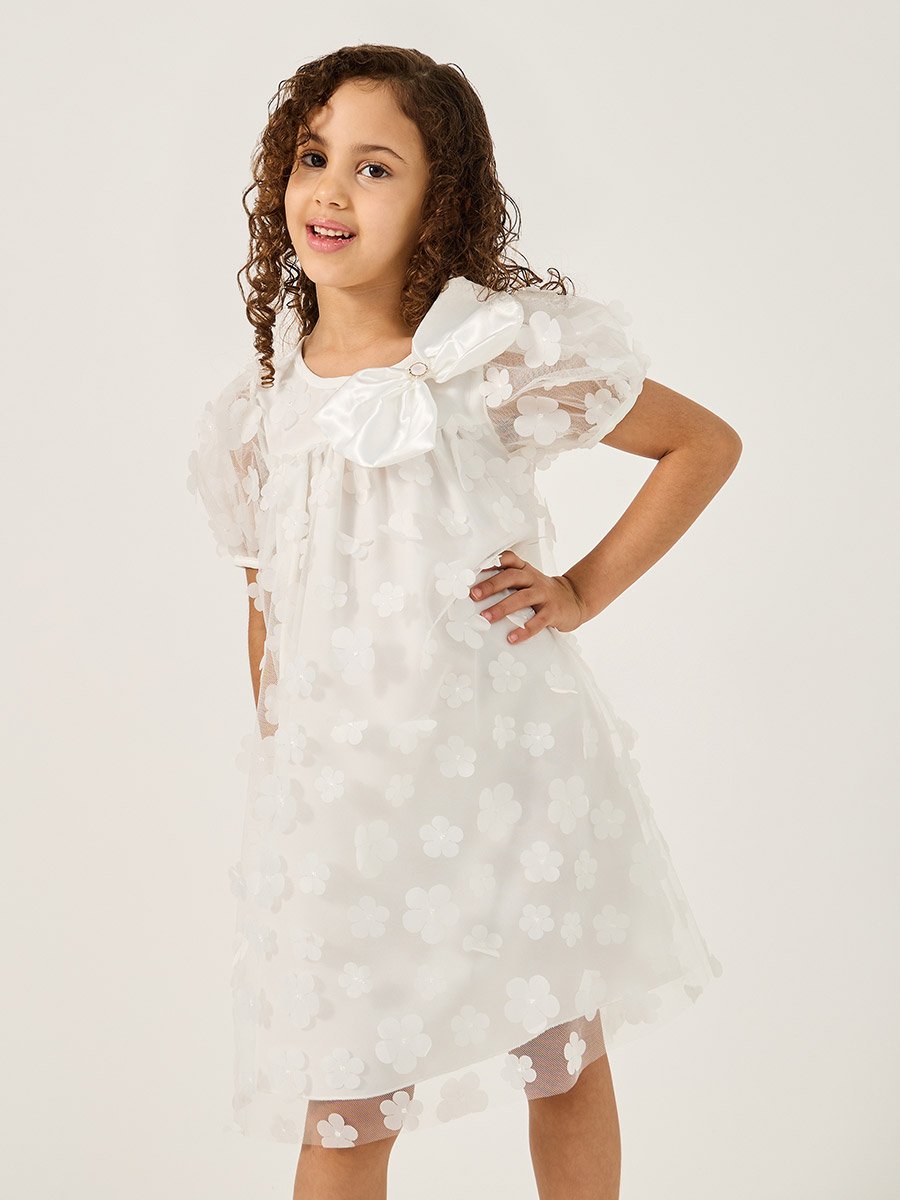 Flower Applique Mesh Insert Dress