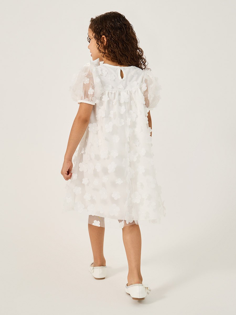 Flower Applique Mesh Insert Dress