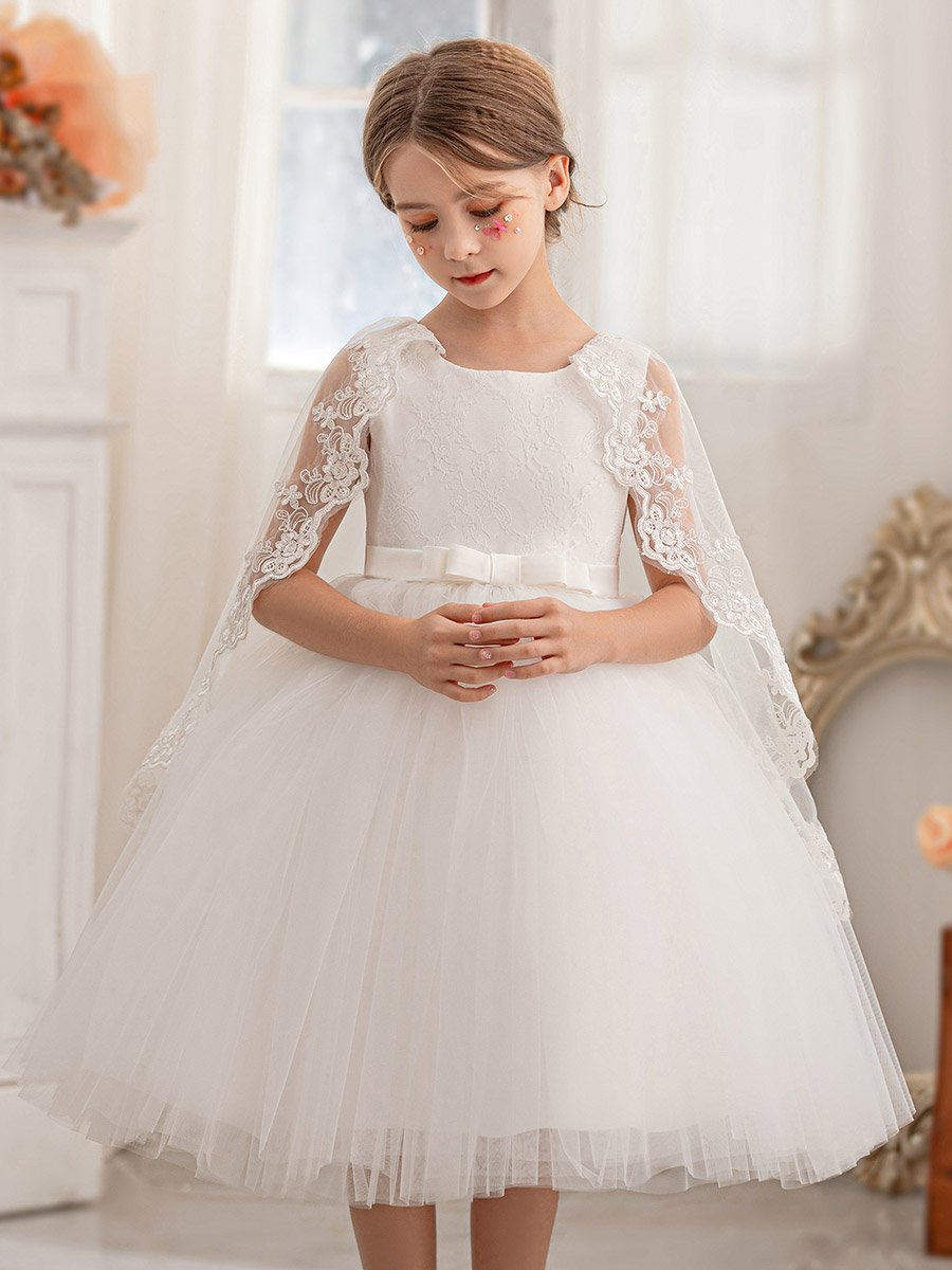 Lace Cape Sleeve Mesh Fit and Flare Dress