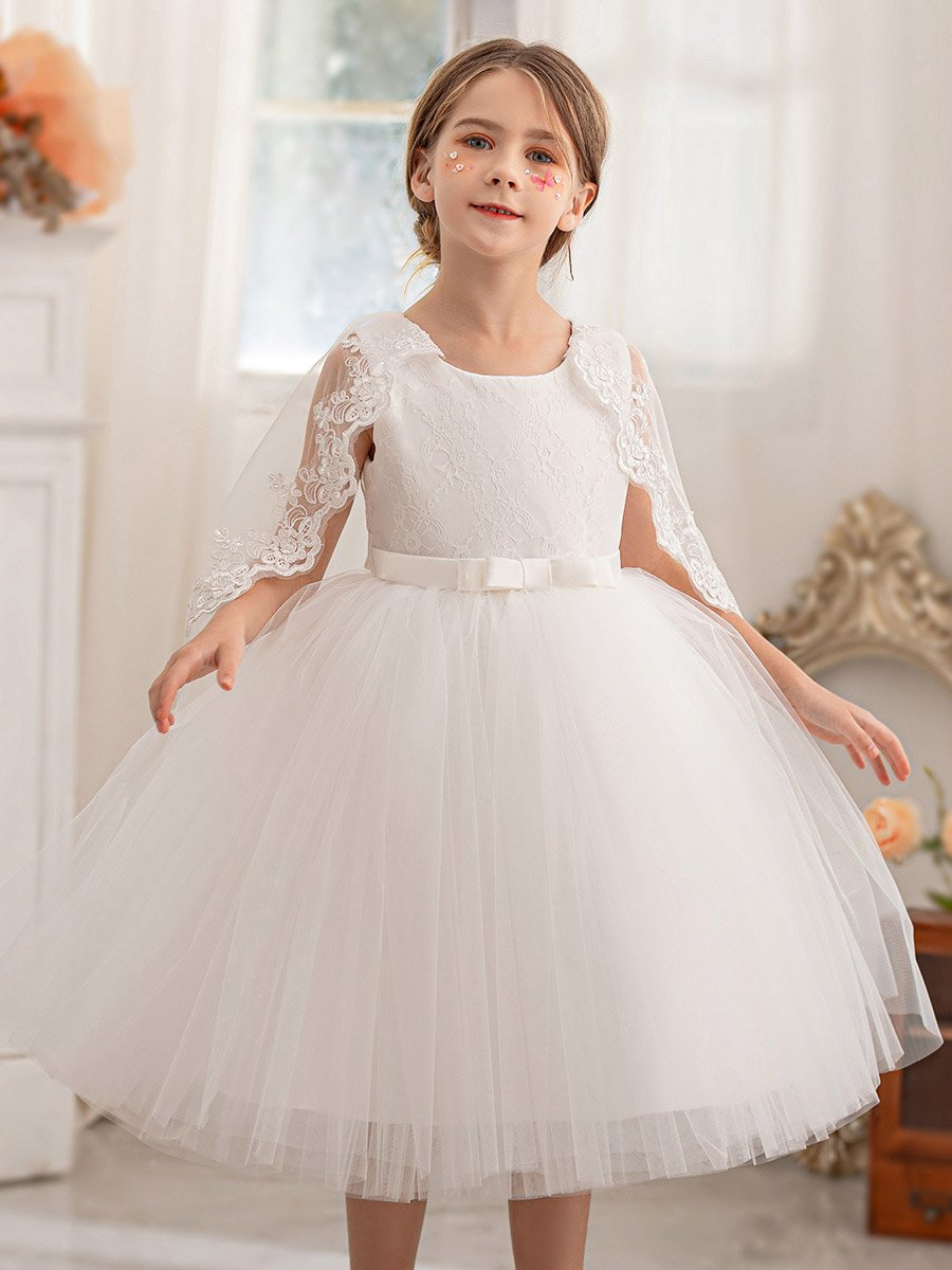 Lace Cape Sleeve Mesh Fit and Flare Dress