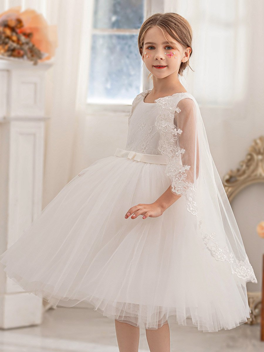 Lace Cape Sleeve Mesh Fit and Flare Dress