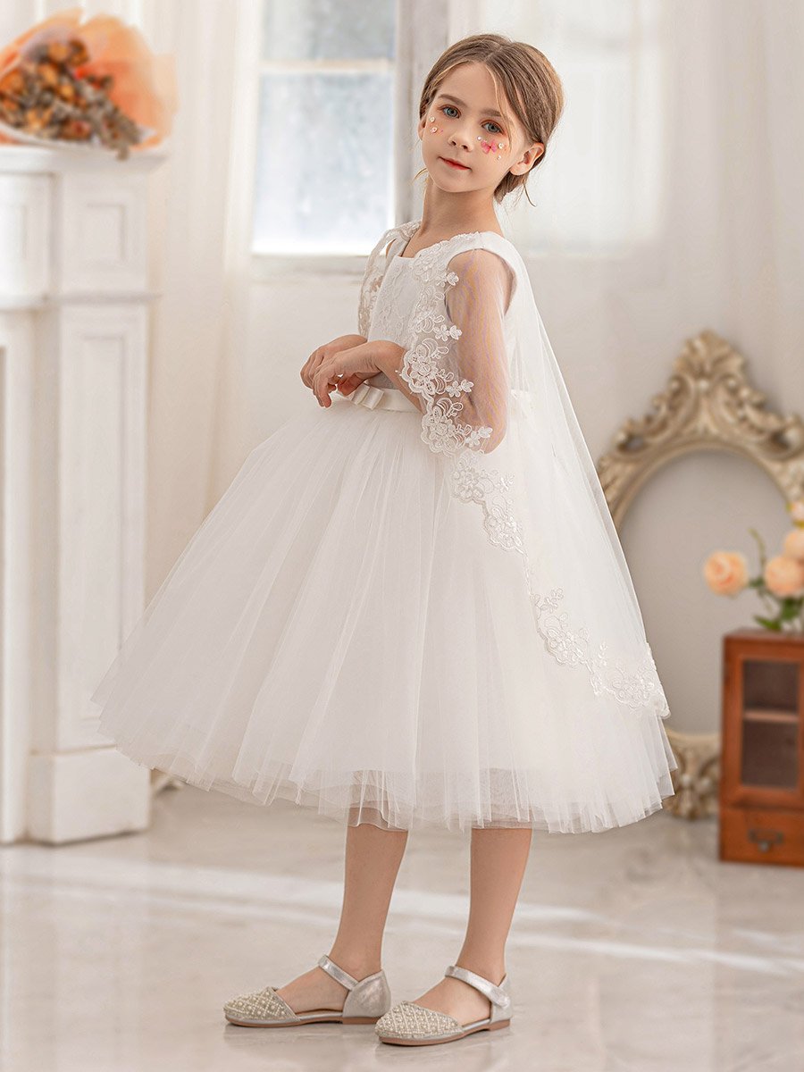 Lace Cape Sleeve Mesh Fit and Flare Dress