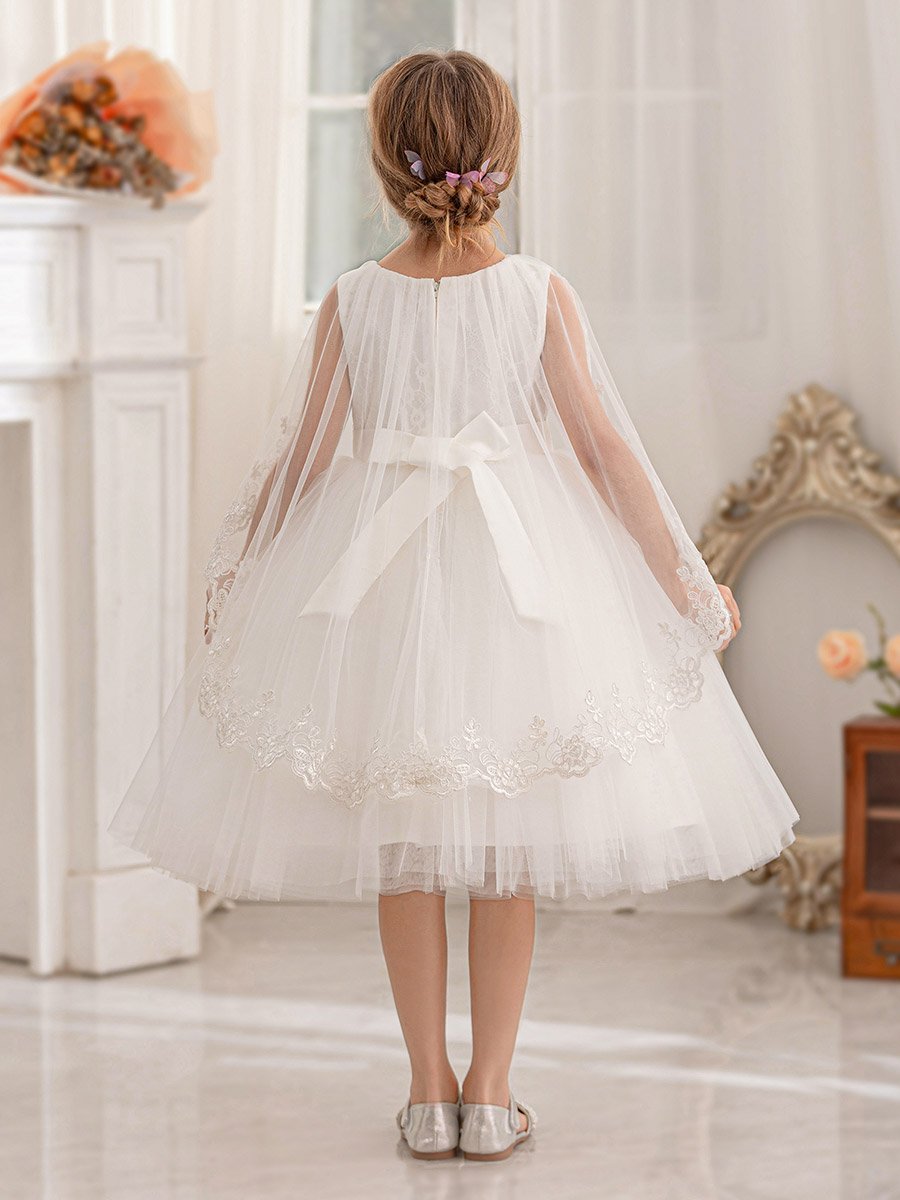 Lace Cape Sleeve Mesh Fit and Flare Dress