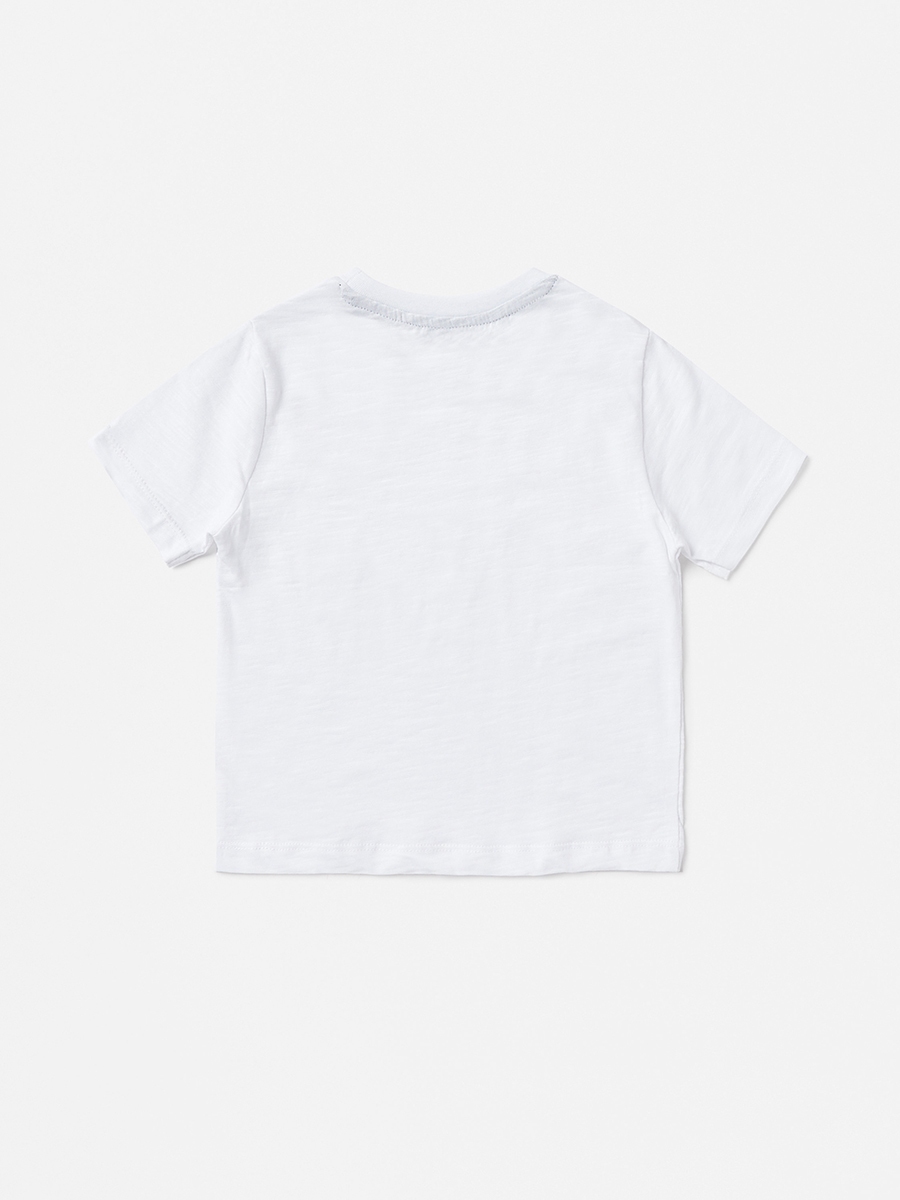 Plain BCI Cotton T-shirt with Round Neck and Short Sleeves