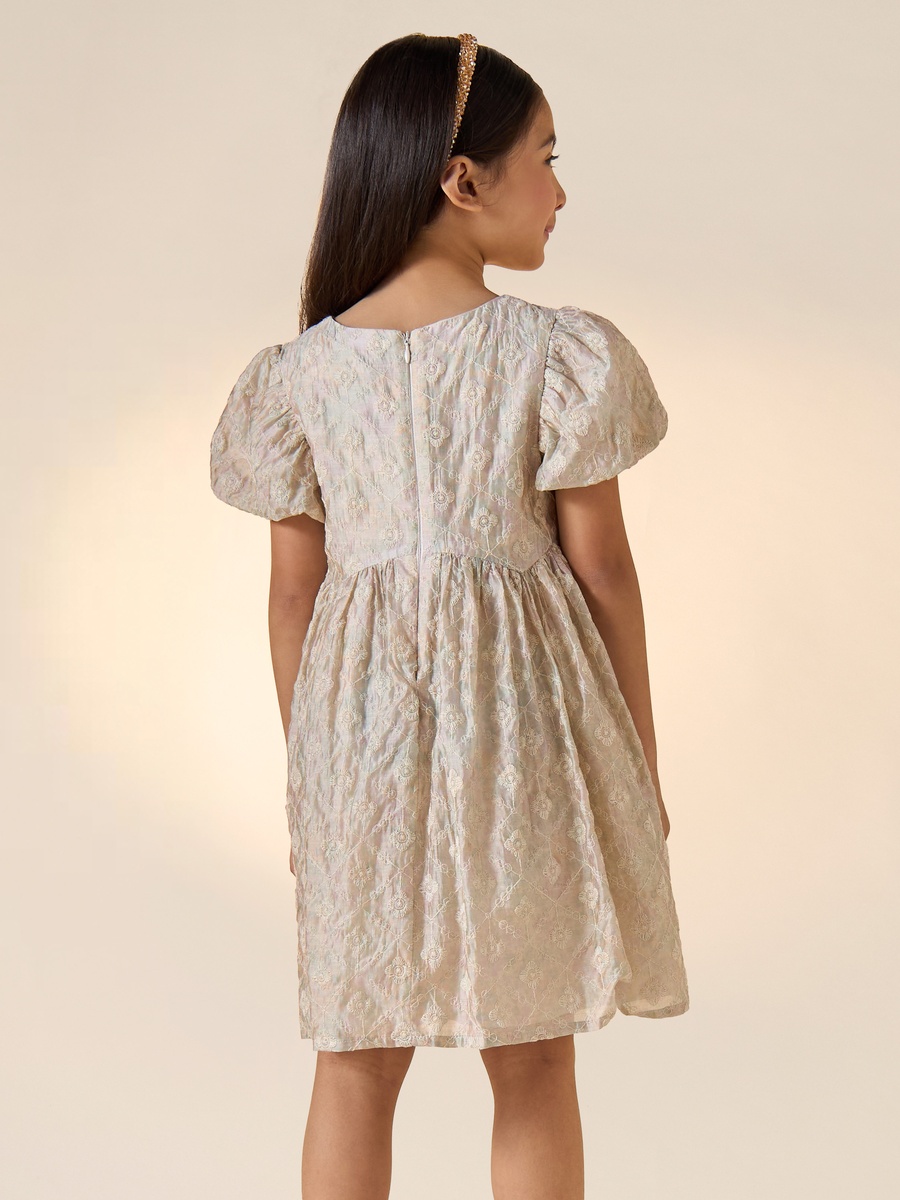 All-Over Embroidered Dress with Balloon Sleeves and Zip Closure For Default  Category at Kuwait | Styli