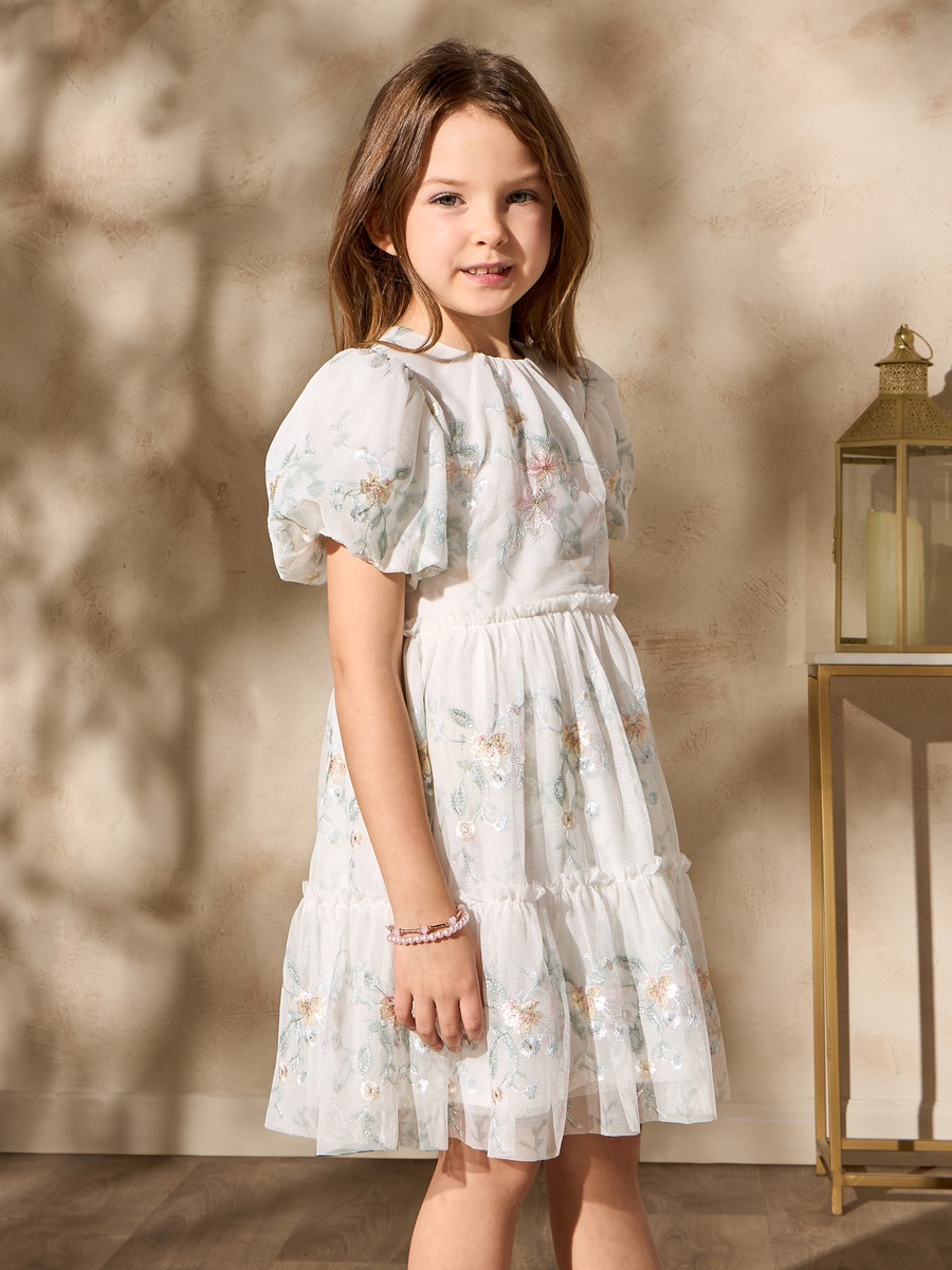 fit and flare bridal dress Baby Girl Solid Color Floral Embroidered Mesh Design Princess Dress 90 (12-24M) / White main image 0