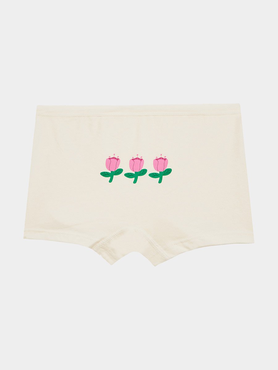Girls Pack of 4 - Printed Briefs with Elastic Waistband