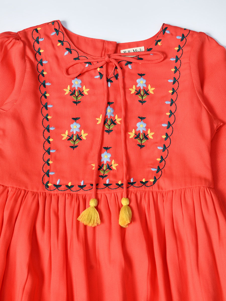 Embroidered Tie-Up Neck Knee-Length Dress