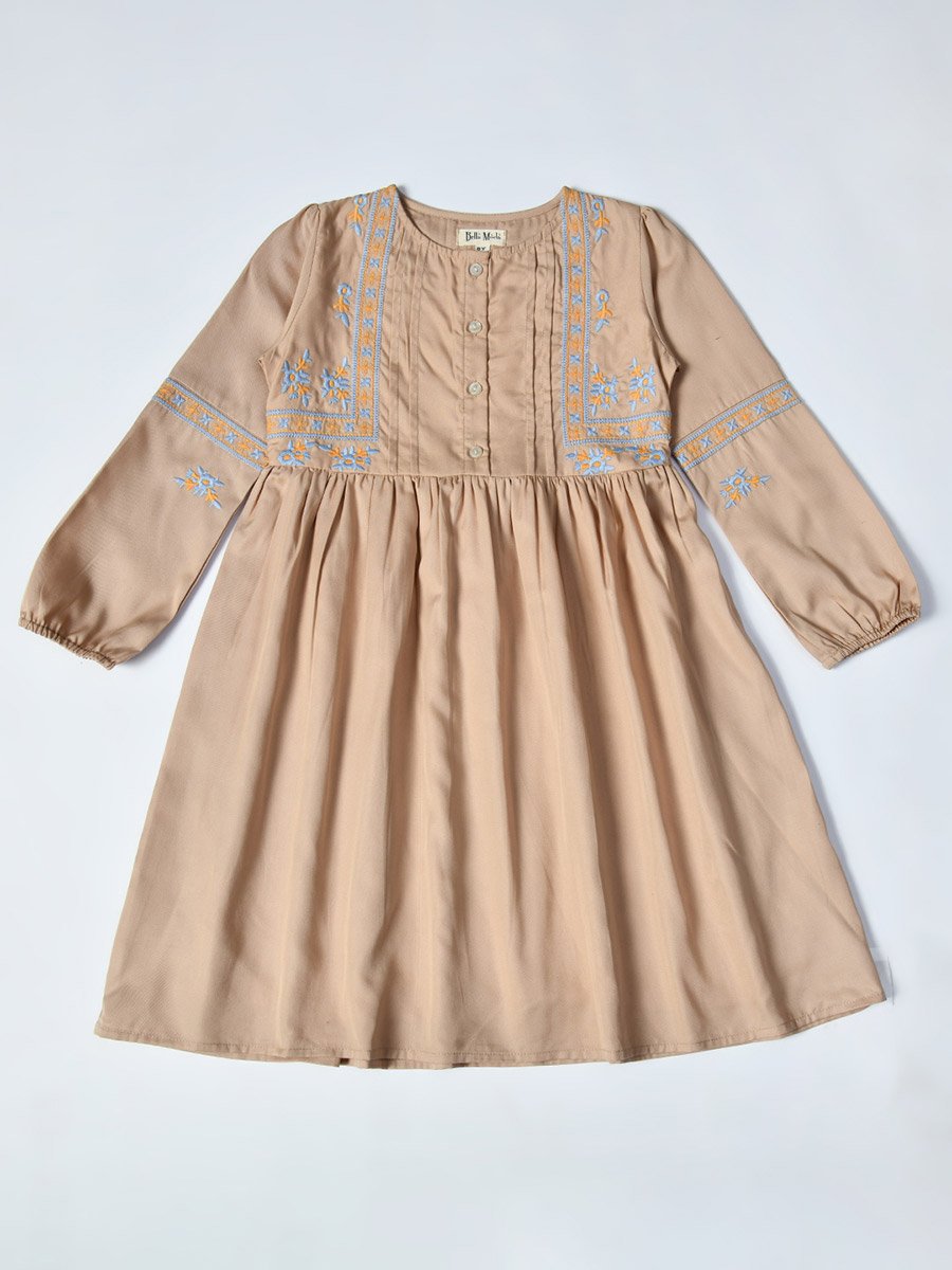 Embroidered Balloon Sleeves Knee-Length Dress