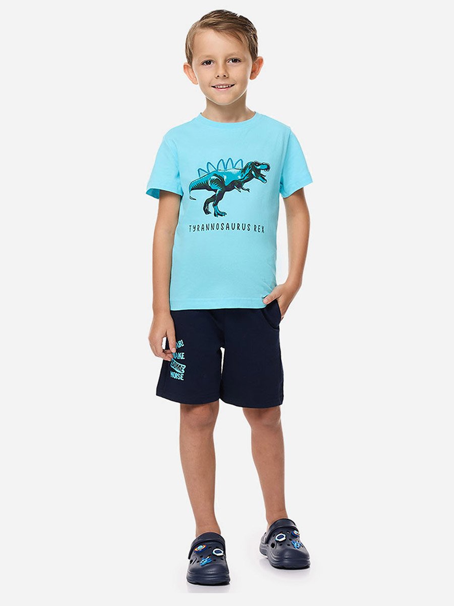 Dinosaur Graphic Print T-Shirt and Drawstring Shorts Set