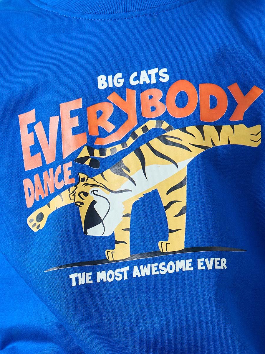 Boys Blue Tiger Graphic Sweatshirt