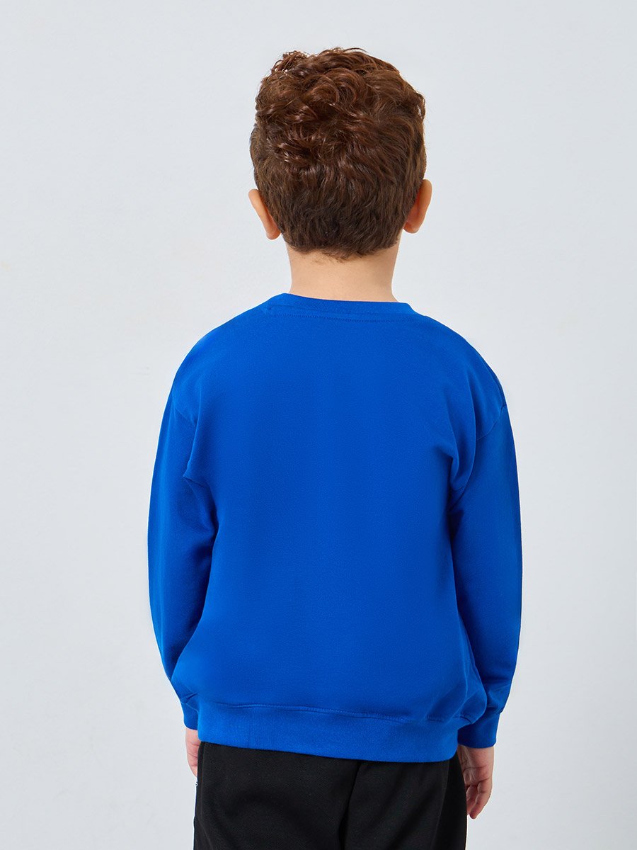 Boys Blue Tiger Graphic Sweatshirt