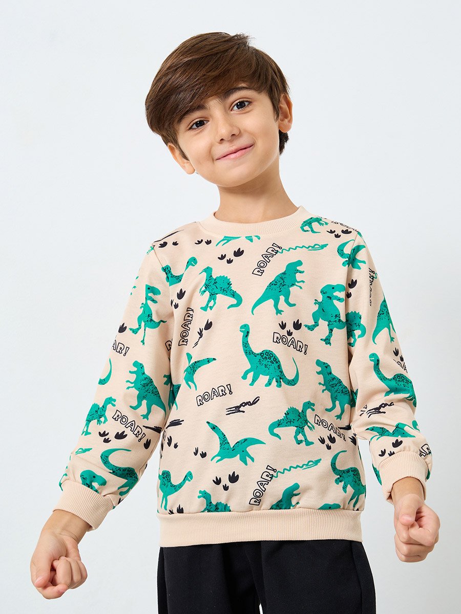 Boys Beige Dinosaur Print Sweatshirt