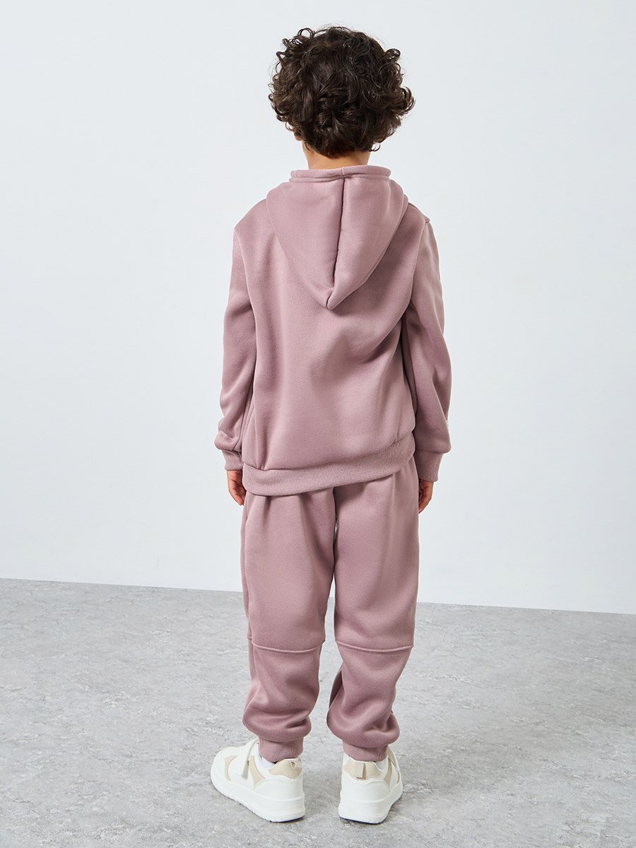 Boys Purple Solid Hoodie and Jogger Set