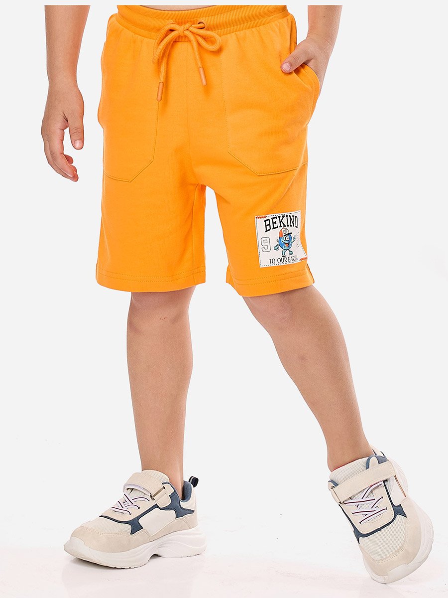Boys Applique Graphic T-Shirt and Shorts Set