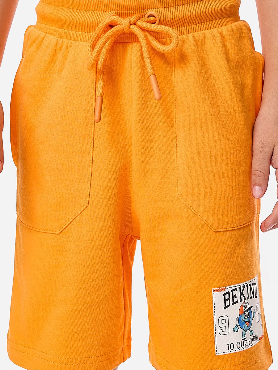 Boys Applique Graphic T-Shirt and Shorts Set