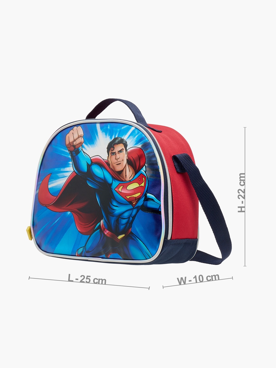 Superman Print Lunch Bag with Zip Closure