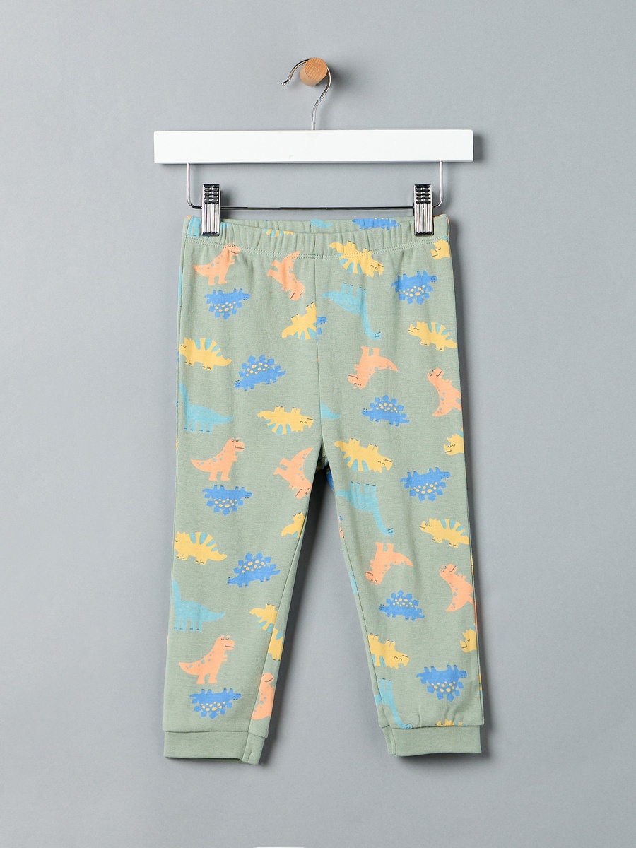 Dinosaur Print Cotton Pyjama Set