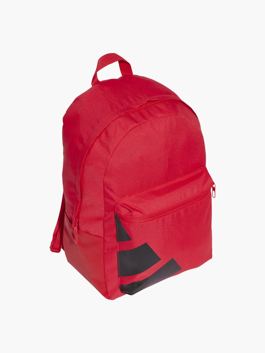 Logo Print School Backpack with Adjustable Straps and Zip Closure