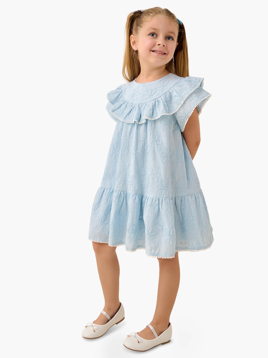 Embroidered Drop Waist Dress with Round Neck and Short Sleeves