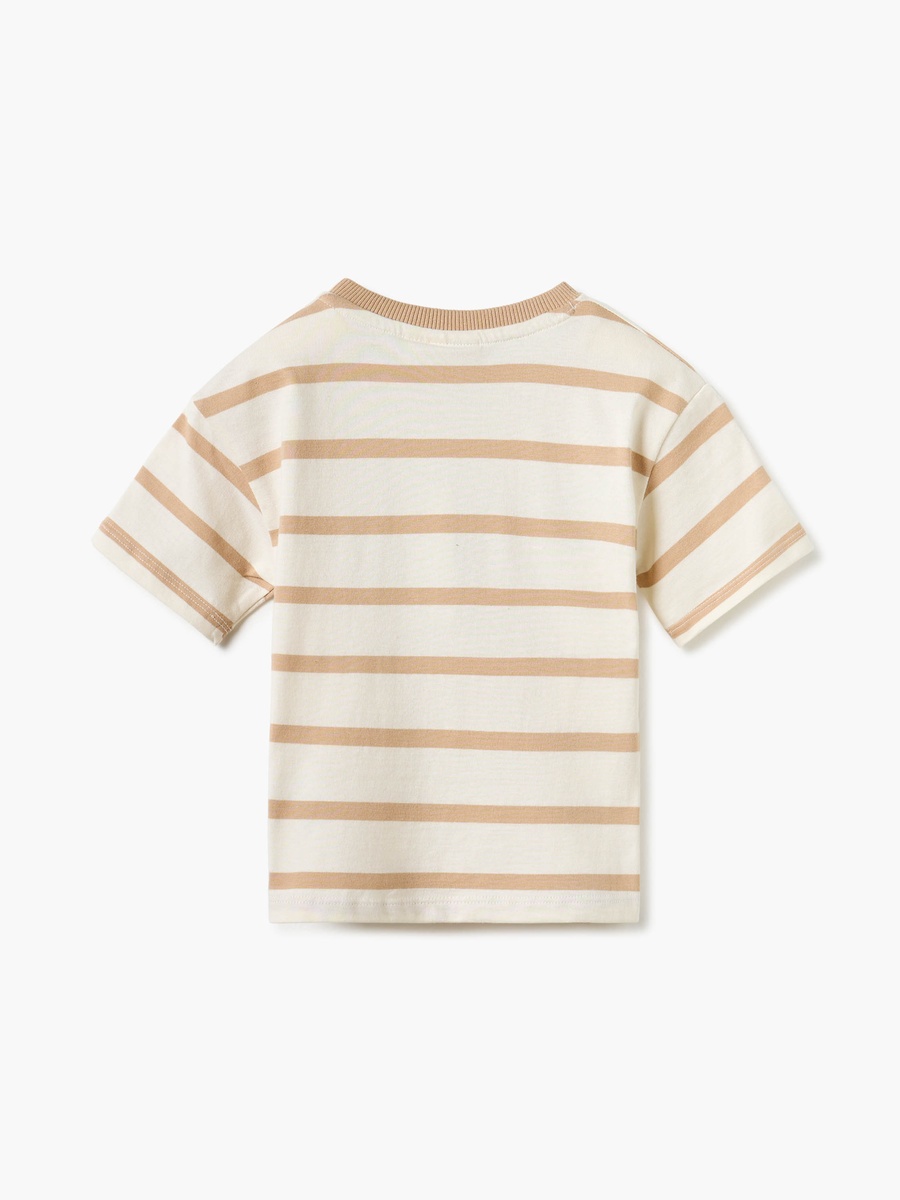 Striped Crew Neck T-Shirt with Applique Detail
