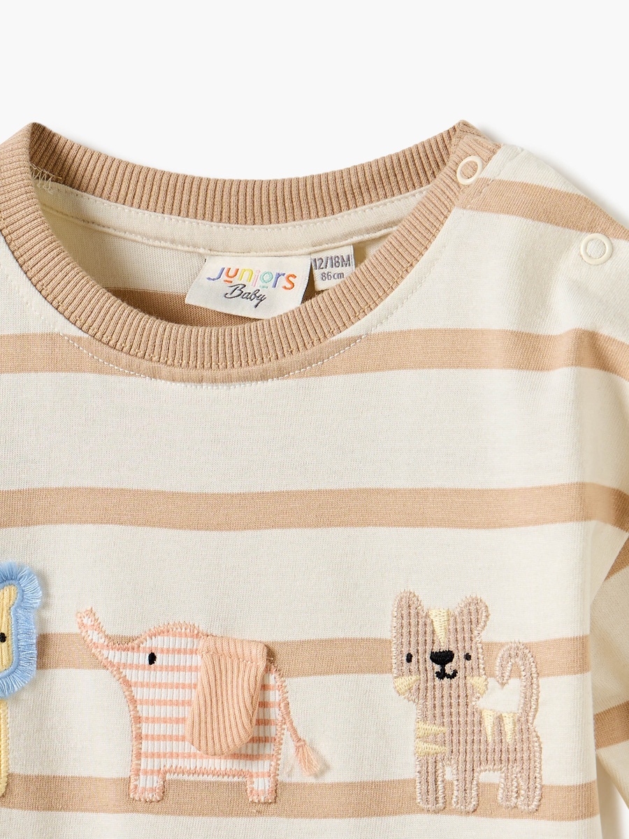 Striped Crew Neck T-Shirt with Applique Detail