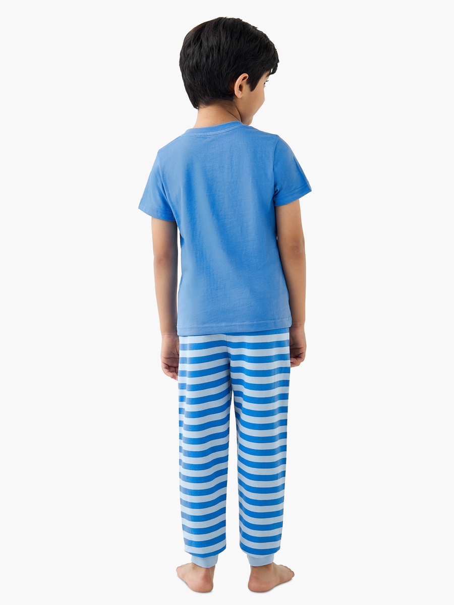 Printed T-Shirt and Striped Pyjama Set