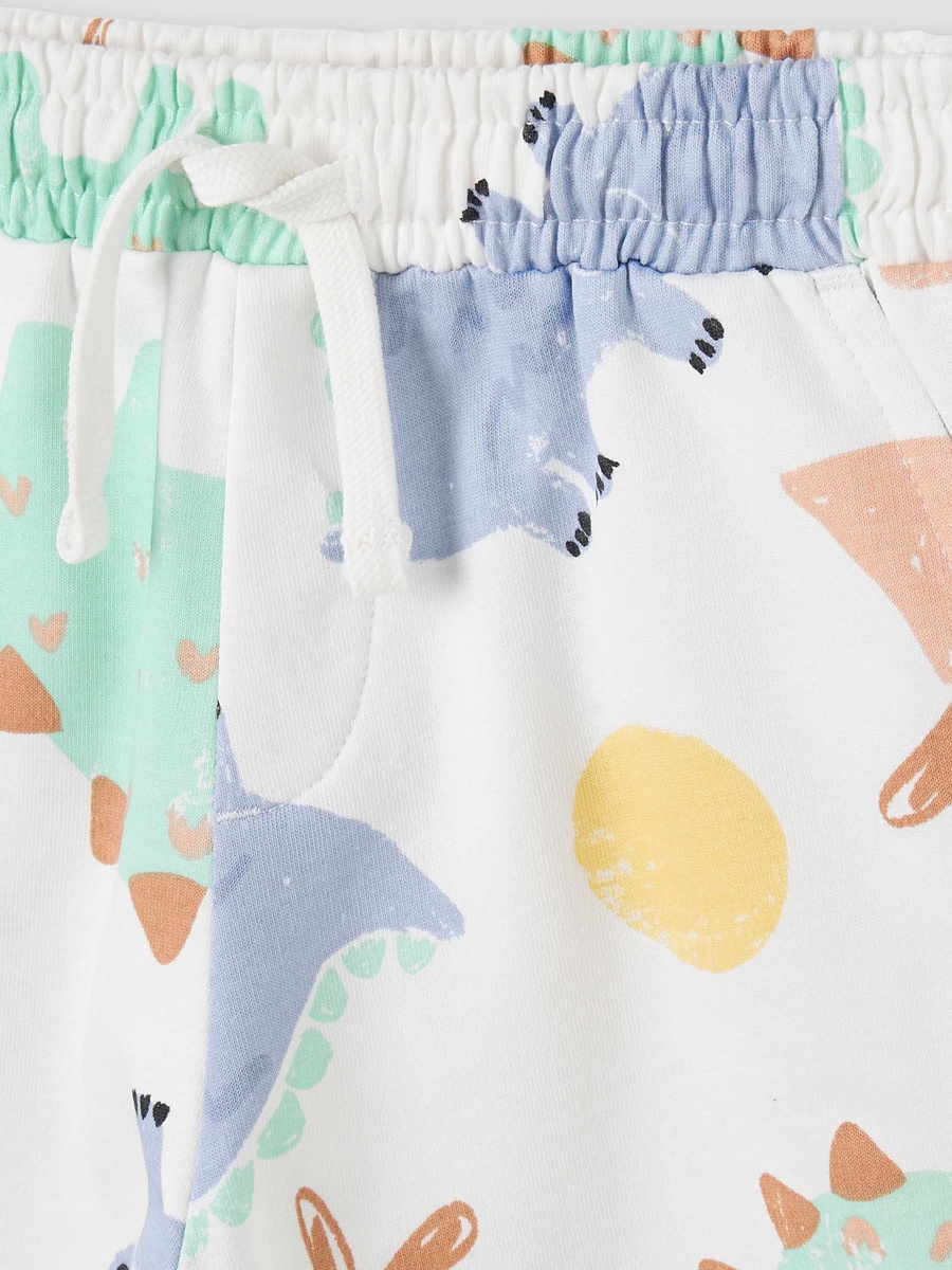 Dinosaur Print T-Shirt and Shorts Set