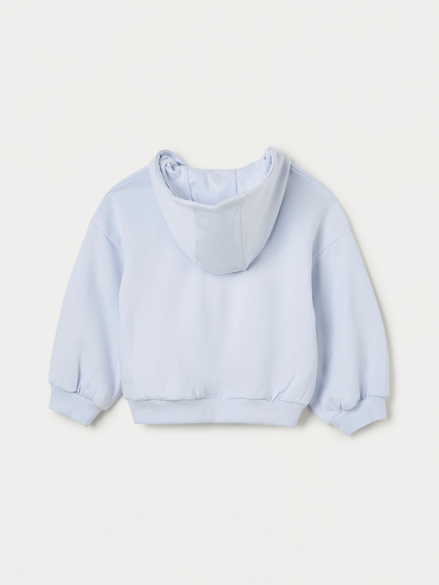 Solid Hooded Sweatshirt with Zip Closure and Long Sleeves