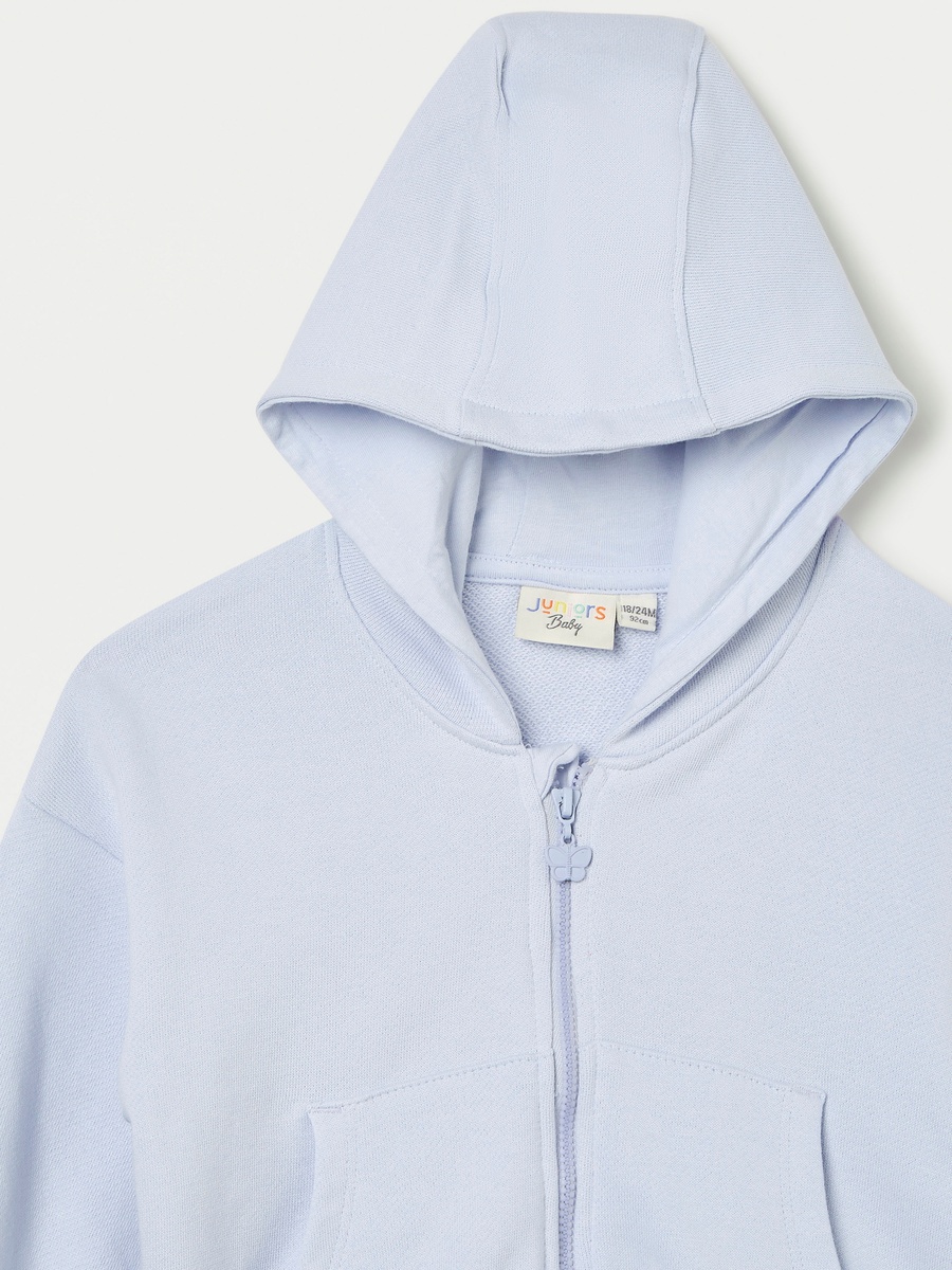 Solid Hooded Sweatshirt with Zip Closure and Long Sleeves