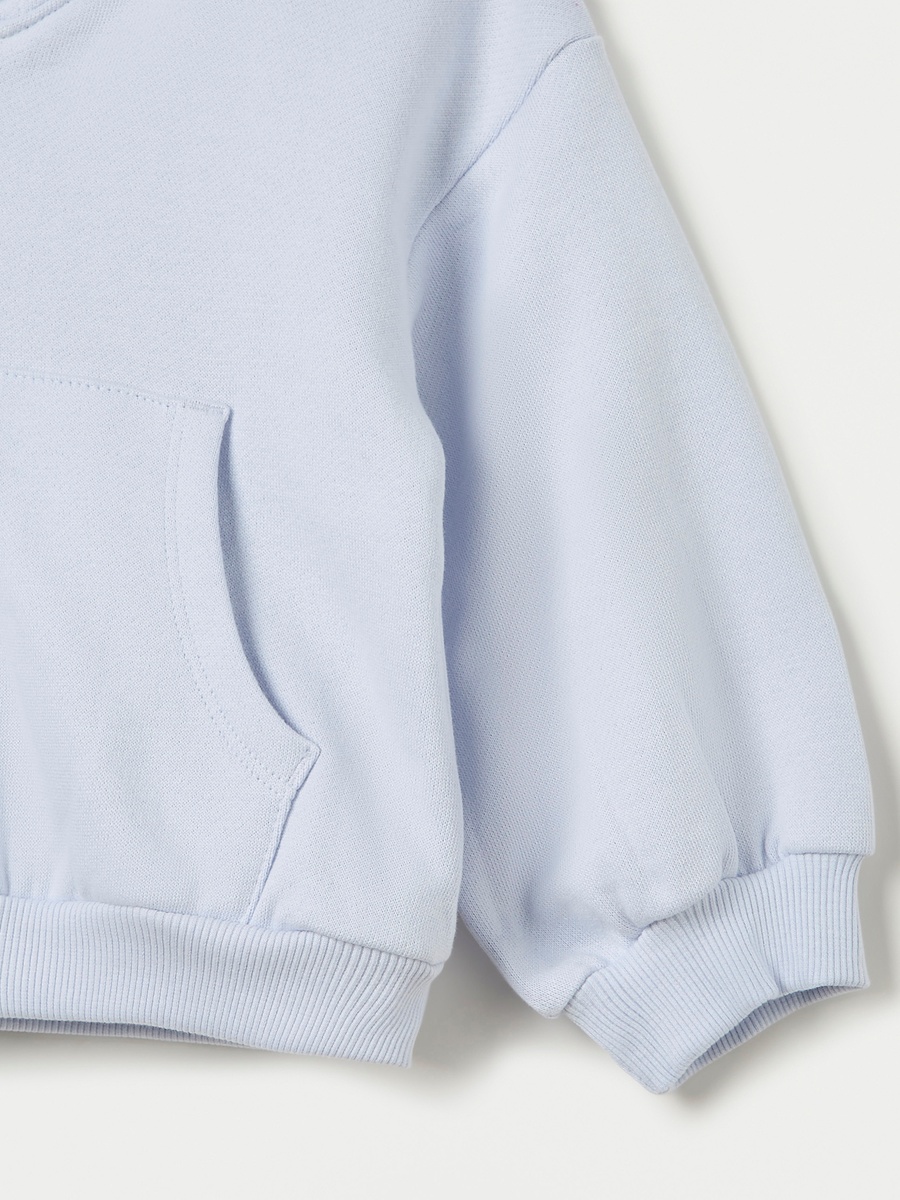 Solid Hooded Sweatshirt with Zip Closure and Long Sleeves
