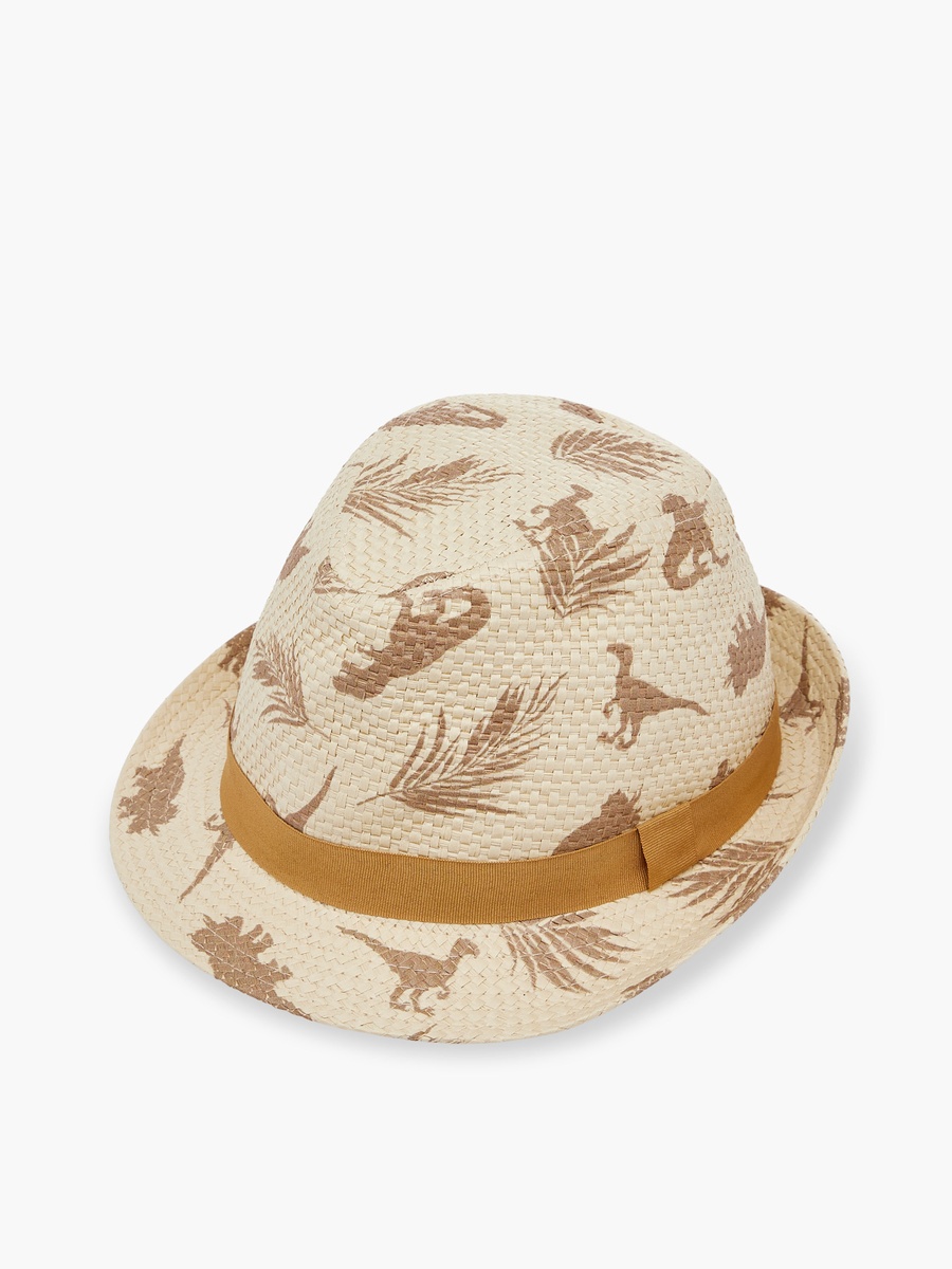 Dinosaur Print Hat