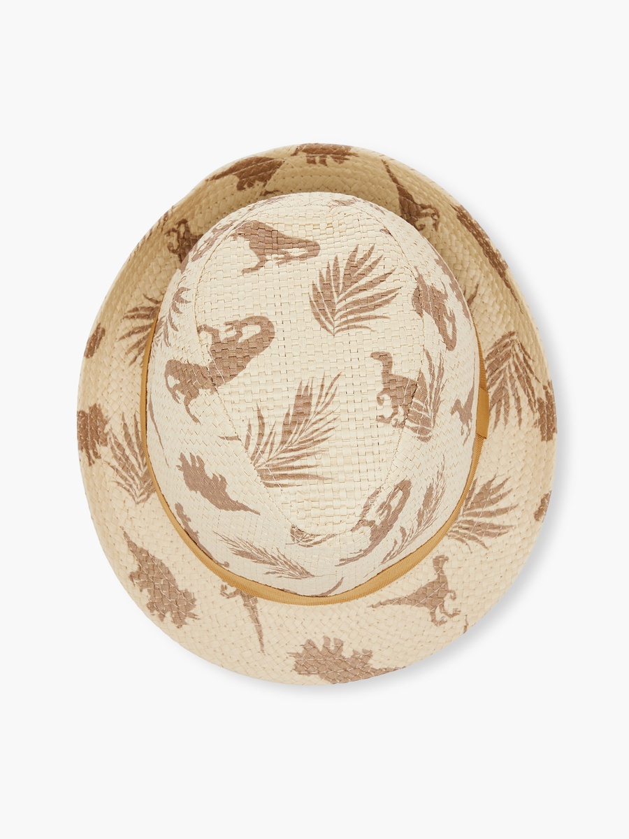 Dinosaur Print Hat