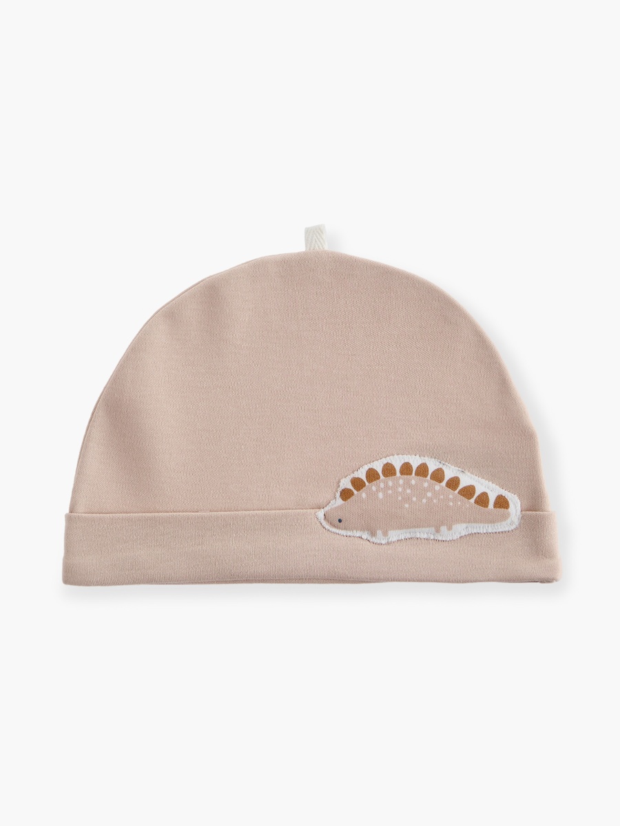 Dino Print Cap - Set of 2