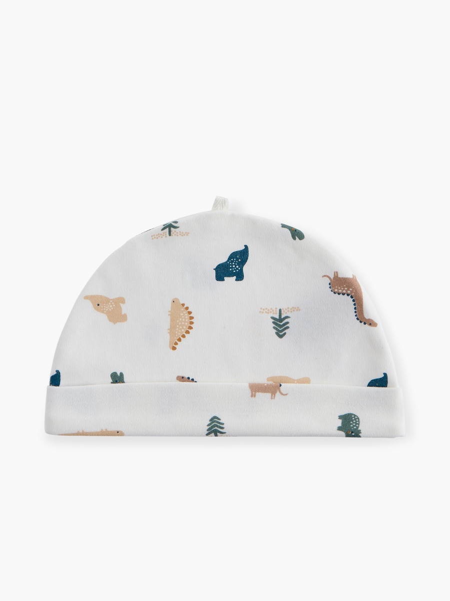 Dino Print Cap - Set of 2
