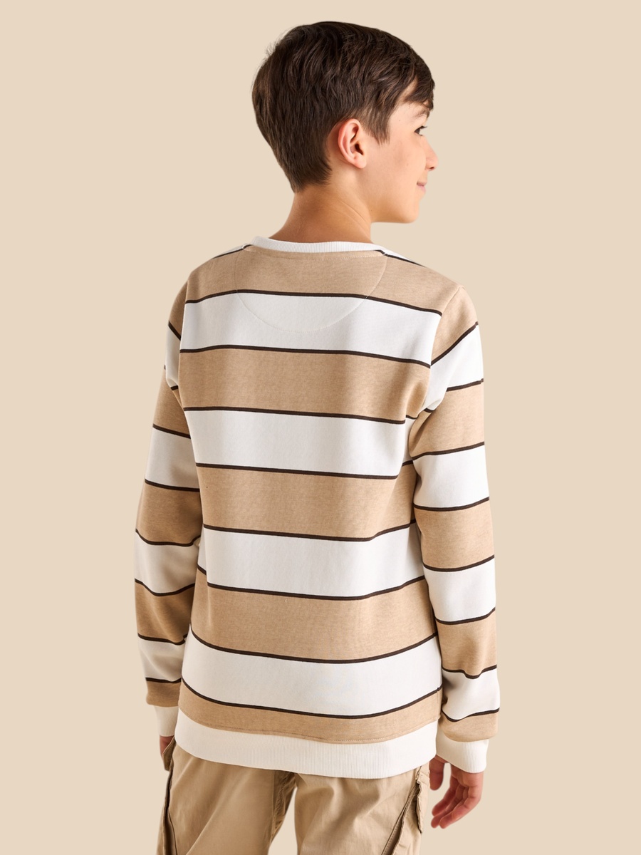 Striped Cotton Sweatshirt