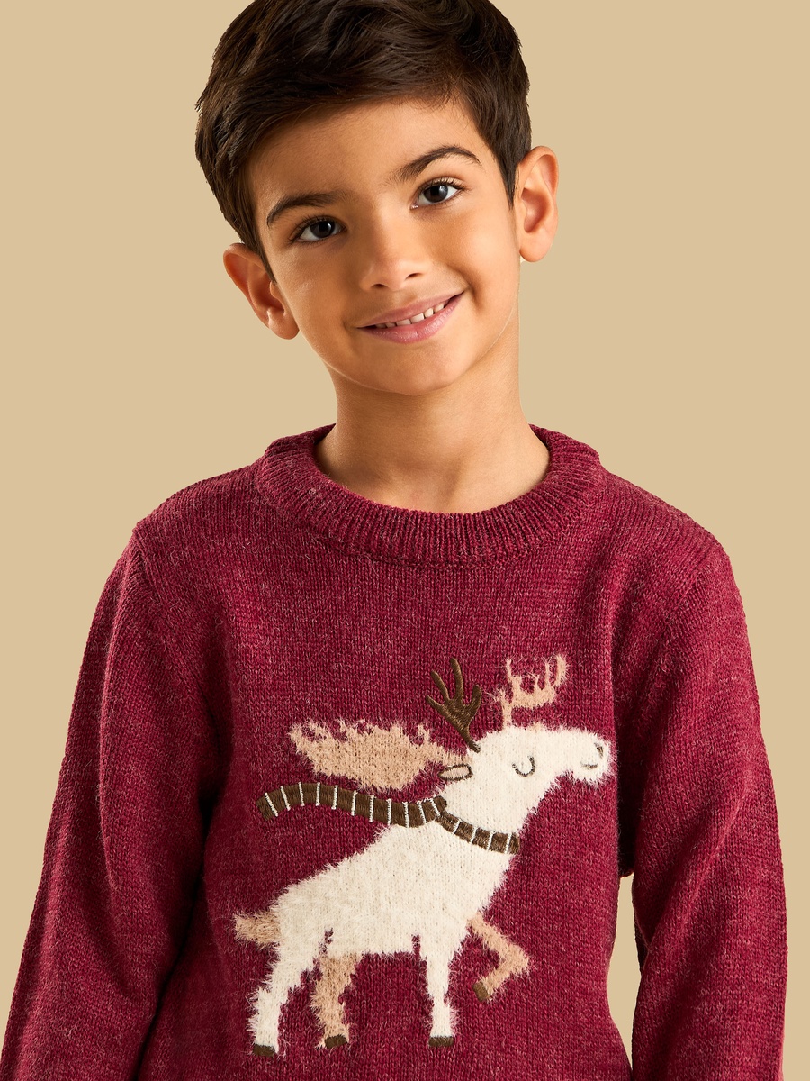 Reindeer Embroidered Sweater