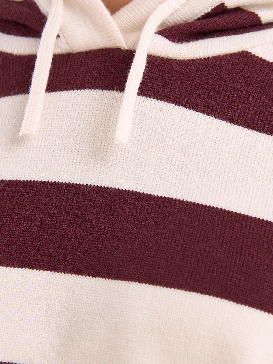 Striped Hooded Sweater
