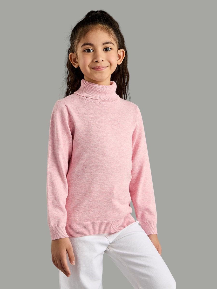 Plain Turtleneck Sweater