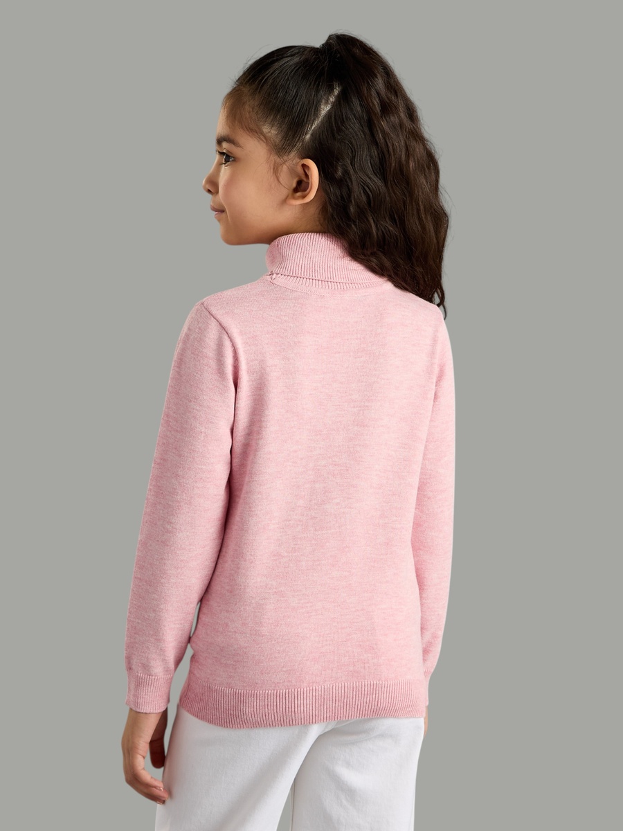 Plain Turtleneck Sweater