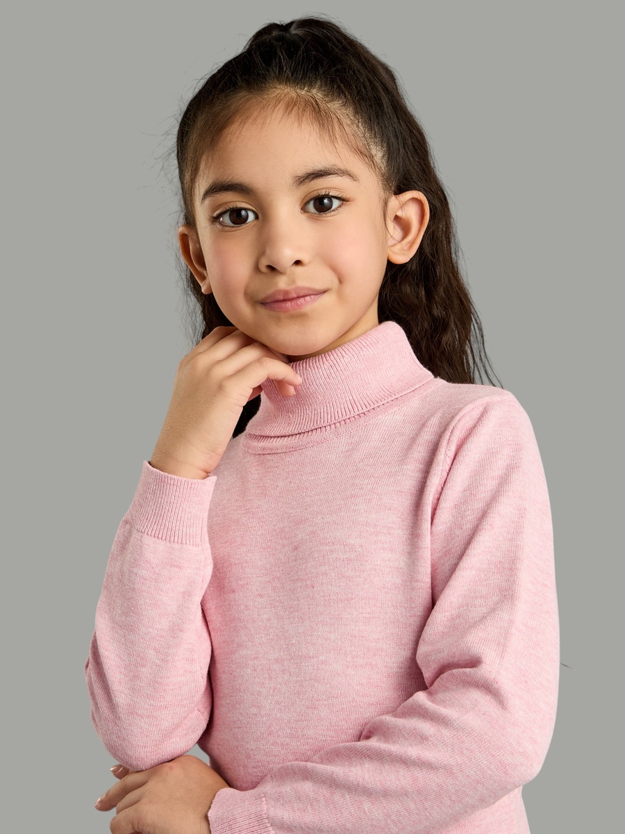 Plain Turtleneck Sweater