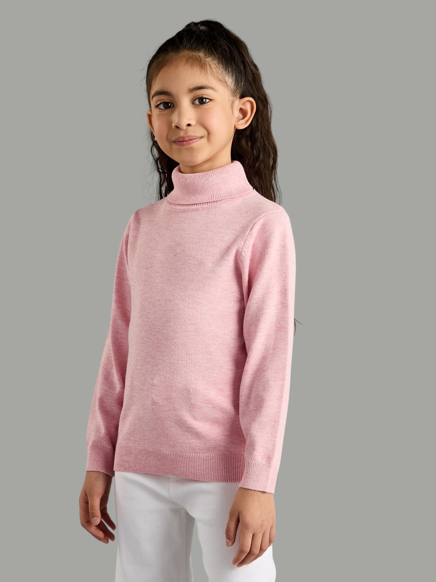 Plain Turtleneck Sweater