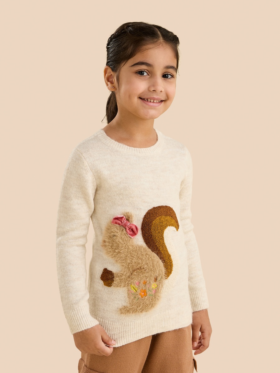 Squirrel Applique Sweater